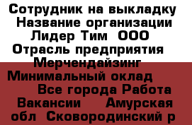 Сотрудник на выкладку › Название организации ­ Лидер Тим, ООО › Отрасль предприятия ­ Мерчендайзинг › Минимальный оклад ­ 18 000 - Все города Работа » Вакансии   . Амурская обл.,Сковородинский р-н